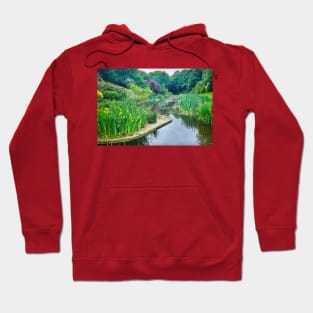 Northumberland Park, North Shields Hoodie